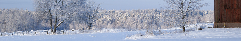 Vinter