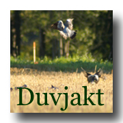 Duvjakt - Smland