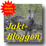 Jaktbloggen p andjakt.se